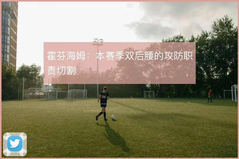 霍芬海姆：本赛季双后腰的攻防职责切割