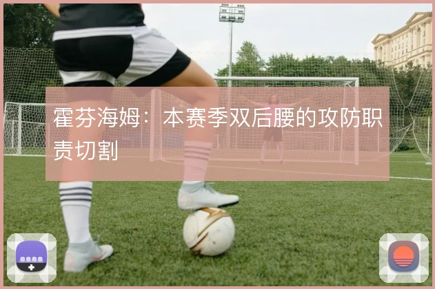 霍芬海姆：本赛季双后腰的攻防职责切割